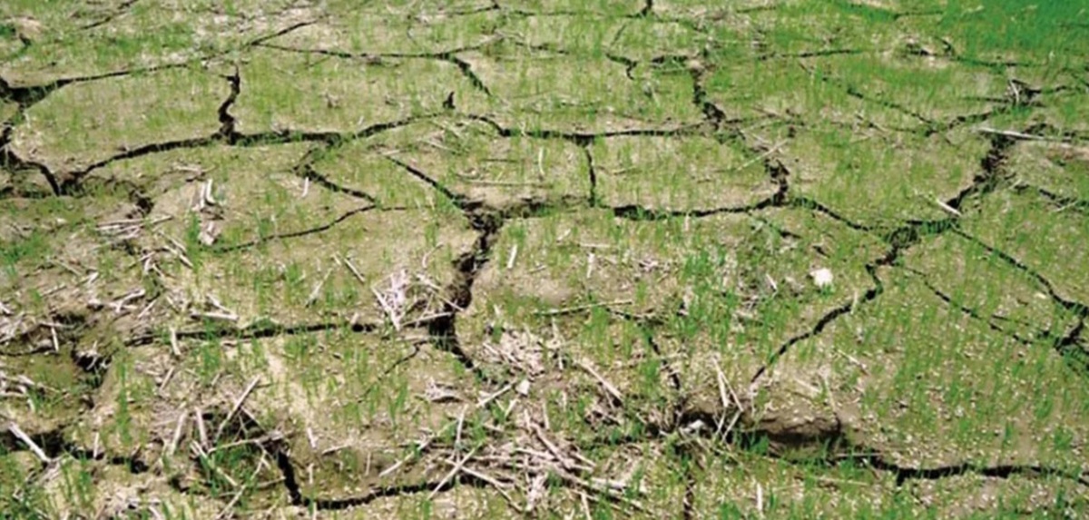 आकाशको पानीको भरपर्दा सर्लाहीमा भएन रोपाइँ
