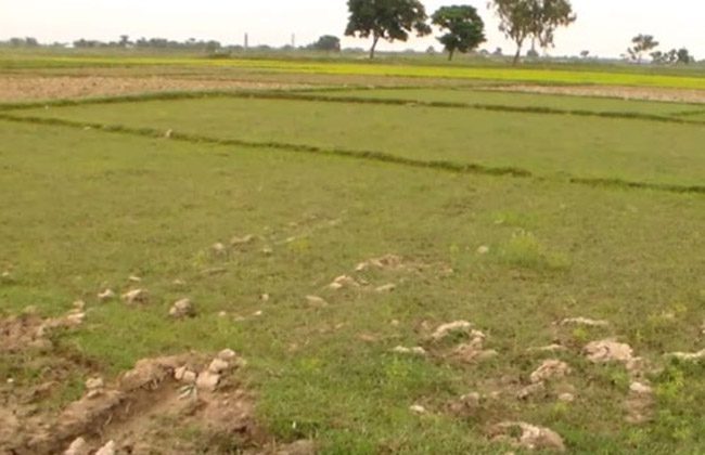 बागमतीमा बढ्यो घरजग्गाको कारोबार, मधेशमा घट्यो