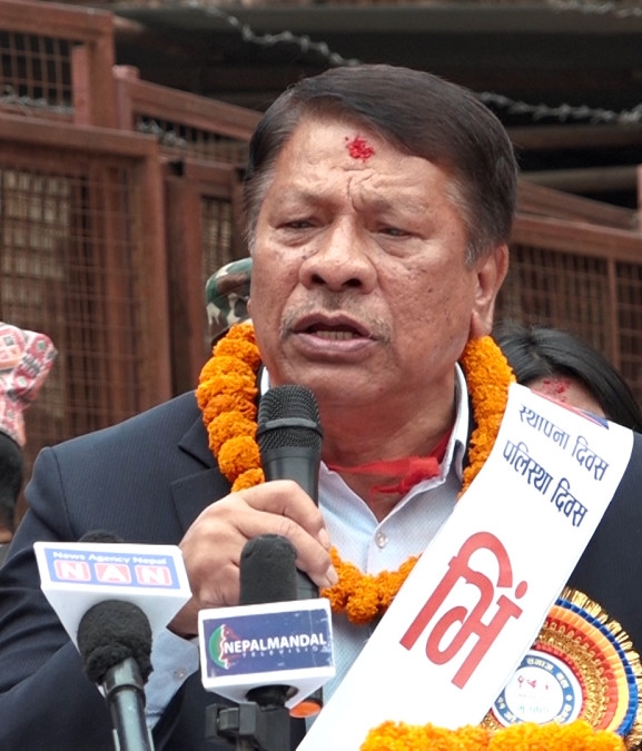 वर्तमान शासन व्यवस्था टिकाउन सरकार लागिपरेको छः उपप्रधानमन्त्री सिंह
