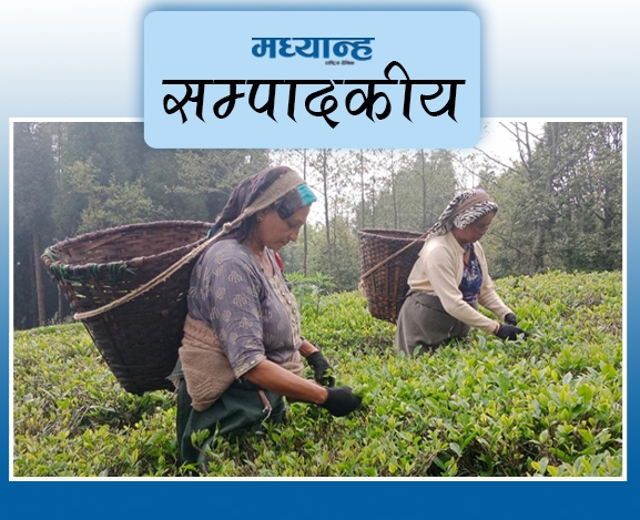चियाको बजार विस्तार