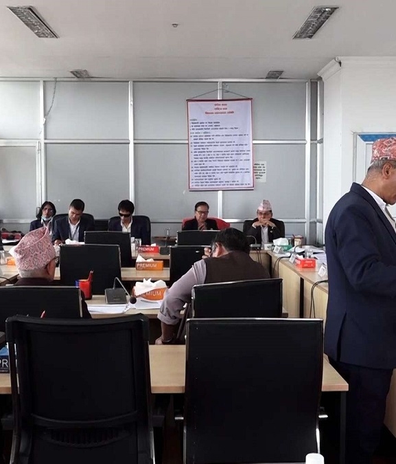 पानी जहाज कार्यालयबाट अनुमति नलिइ व्यावसायिकरूपमा पानी जहाज सञ्चालन गर्न नपाइने प्रस्ताव