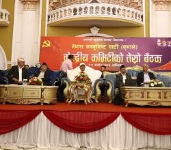 जेनजी आन्दोलनले लोकतन्त्रमा १० दीर्घकालीन असर पार्ने एमालेको निष्कर्ष