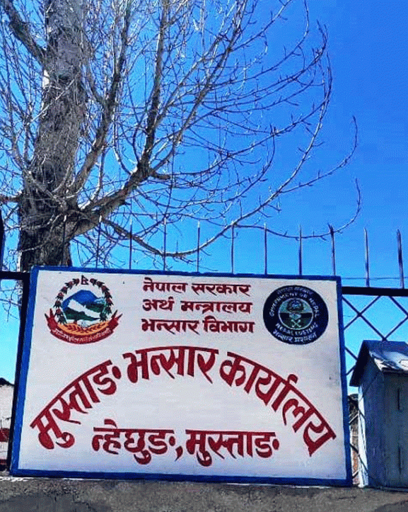 इभी आयातको नयाँ बाटो बन्दै कोरला, साउनमा भित्रिए सय गाडी