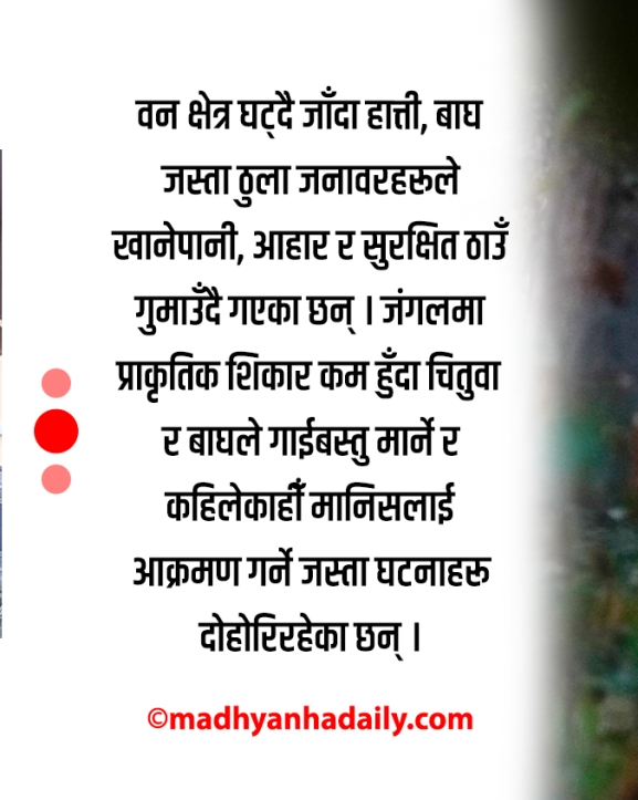 वन्यजन्तुबाट मान्छे जोगाउने कि मान्छेबाट वन्यजन्तु ?