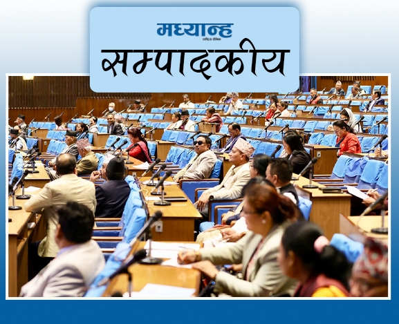 भूमिका भुलेका सांसदहरू