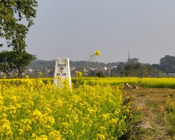 दशगजा वारिपारि पहेँलपुर तोरीबारी