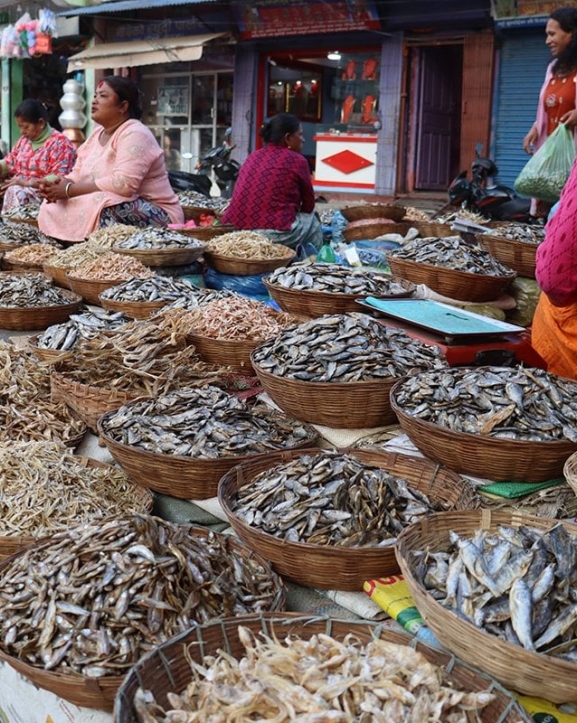 धरानमा फस्टाउँदै सिद्रा व्यापार