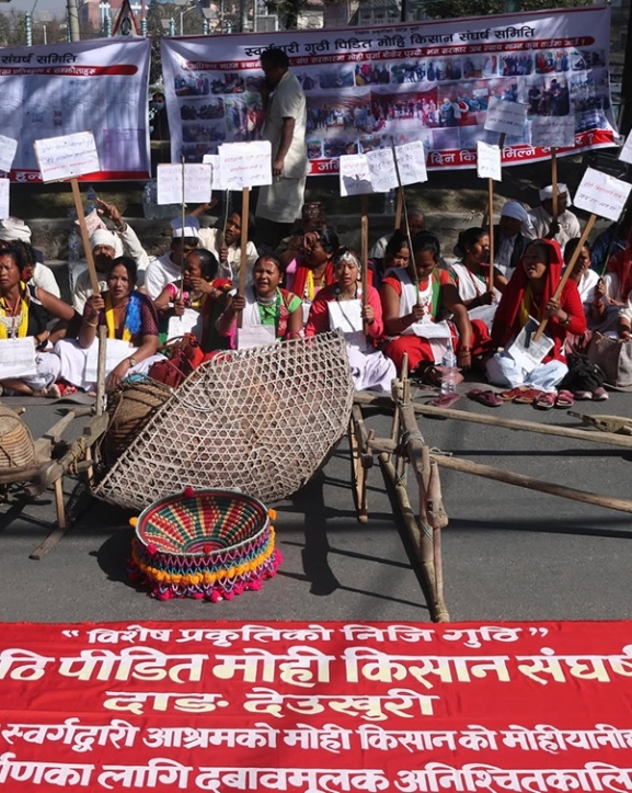 लालपुर्जा दिनेलाई भूमिहीनको भोट, मुक्त कमलरीमा छैन चुनावी उत्साह