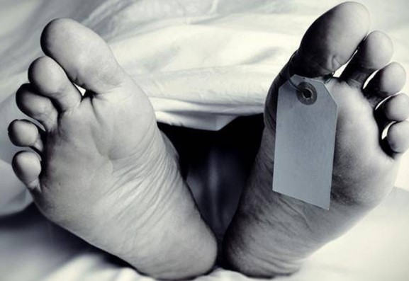ट्रकको ठक्करबाट पैदल यात्रीको मृत्यु