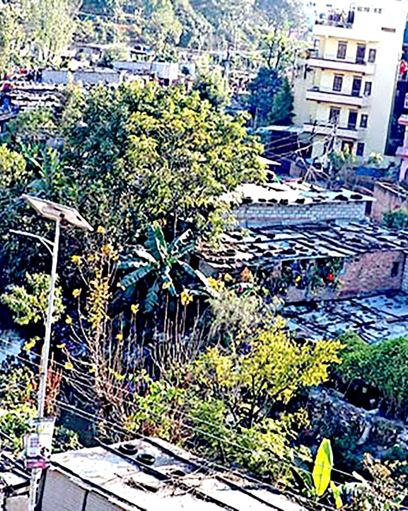 १५ लाख परिवारले पाउँदै लालपुर्जा