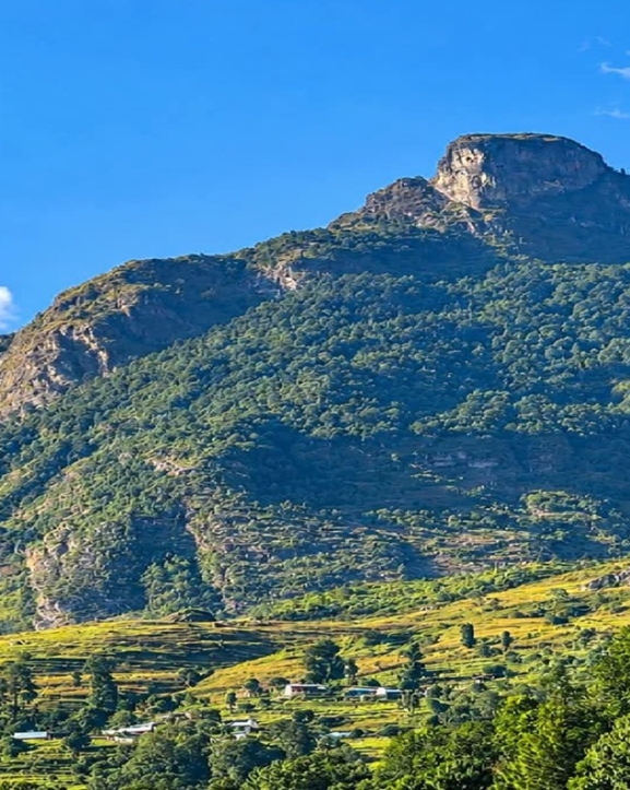 ओझेलमा जुरेढुङ्गा 