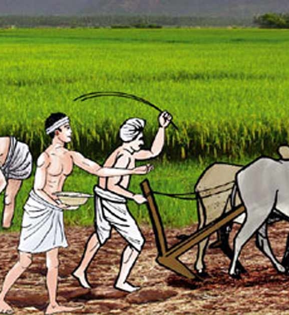काभ्रेका पाँच तहमा ‘एक वडा–एक कृषि उत्पादन’ कार्यक्रम