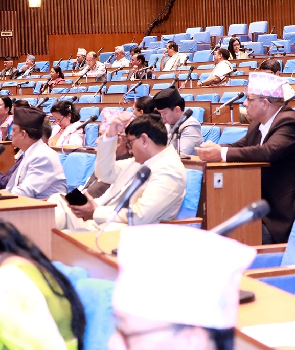 बजेटमा सत्तारुढकै असन्तुष्टि