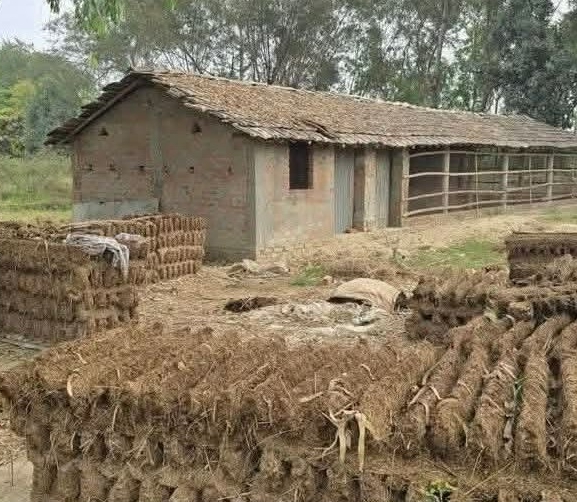 मधेशका गाउँमा गोइँठाकै भर, छैन ग्यास अभावको चिन्ता