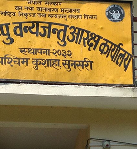 पर्यटकको रोजाइमा कोशी टप्पु