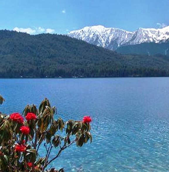 रारामा पौडी खेल्ने क्रममा युवकको मृत्यु
