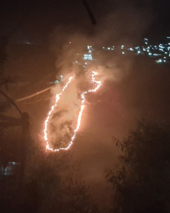 वन डढेलोले ५ वर्षमा अर्बनजिकको क्षति, साढे ६ सय परिवार प्रभावित