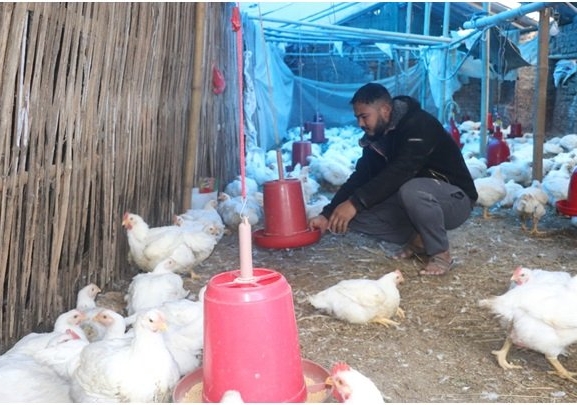 कृषिमा रमाउँदै भोजपुरका दीपक, वार्षिक १५ लाख आम्दानी