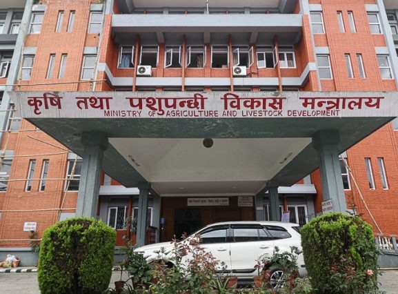 अनुदानमा उपलब्ध गराएको मलको कालोबजारी गर्नेलाई कारबाही गरिने