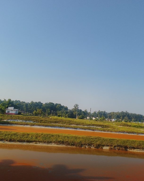 दुई करोडभन्दा बढी माछाका भुरा उत्पादन