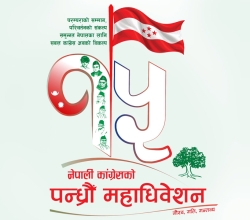 कांग्रेस महाधिवेशनमा होमिए तीन दर्जन व्यवसायी
