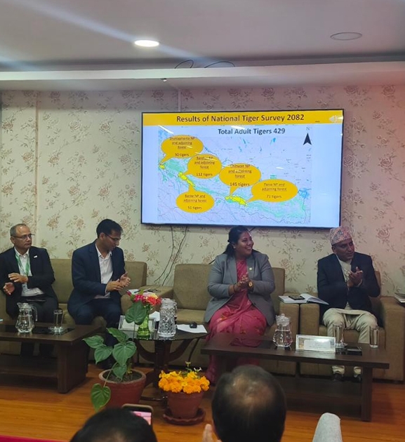 नेपालमा बाघको संख्या ४२९