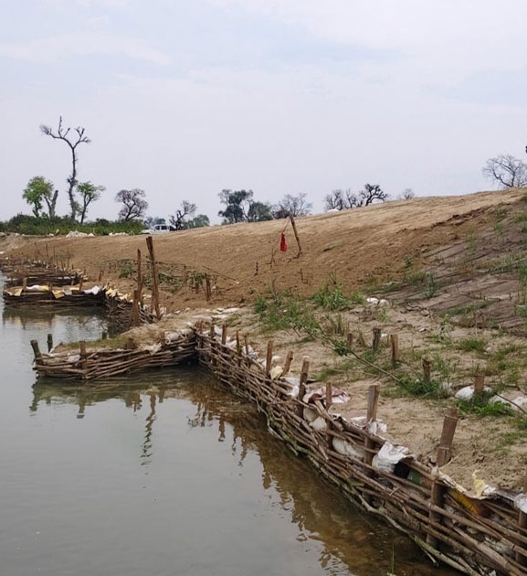 कन्द्रा नदी नियन्त्रणमा जैविक तटबन्ध प्रभावकारी बन्दै