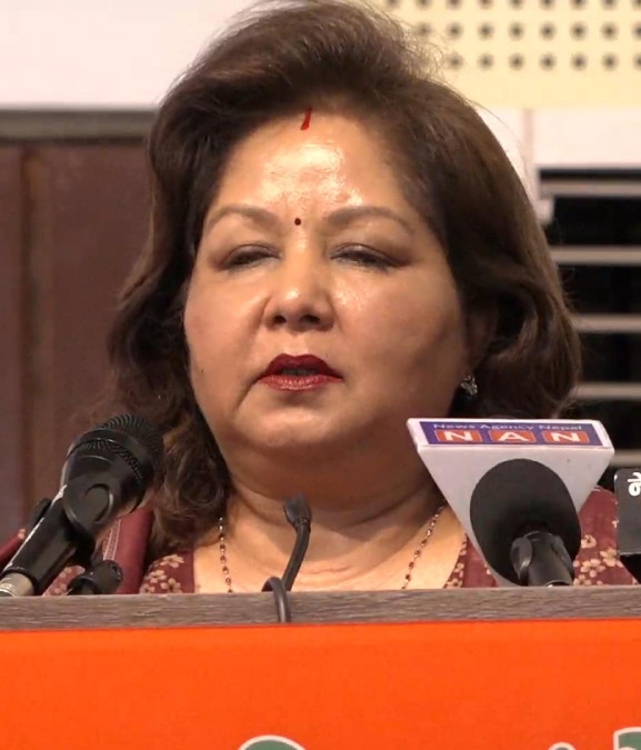 ‘सरकारको अस्थिरताका कारण गैरआवासीय नेपाली नागरिकतासम्बन्धी कानुन निर्माणमा ढिलाइ’ 