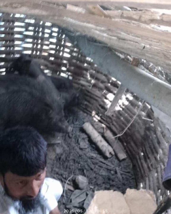 सर्लाहीमा २ व्यक्तिलाई सुँगुरको खोरमा थुनेर कुटपिट, अन्सारीद्वारा दोषीमाथि कडा कारबाहीको माग