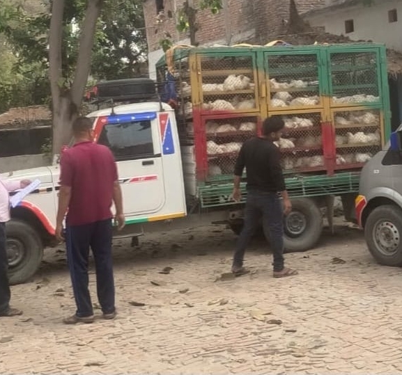 रौतहटमा अवैध भारतीय कुखुरा बरामद, तस्करी नियन्त्रणमा कडाइको माग