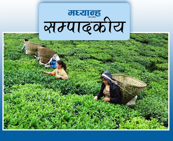 चिया निर्यातको अवरोध हटाऊ