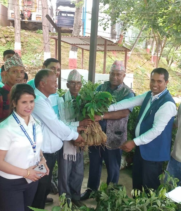 सन्धिखर्कका किसानलाई फलफूलका बिरुवा वितरण