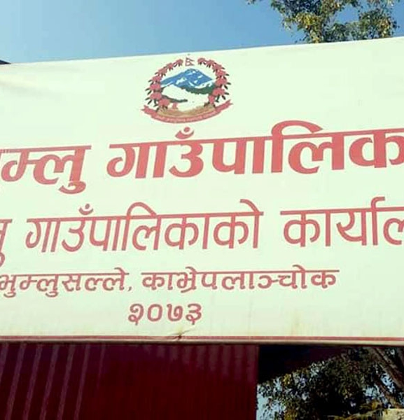 साग किनेर गुन्द्रुक बनाउँदै भुम्लु गाउँपालिका