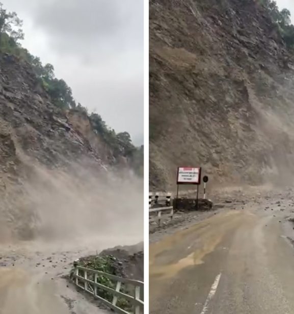 सवारी रोकेर तुइन खोलाको ढिस्को काटिने