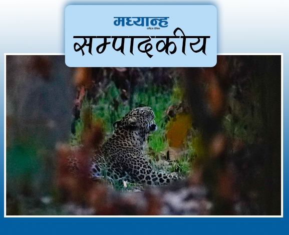 मानव–वन्यजन्तु द्वन्द्व घटाऊ