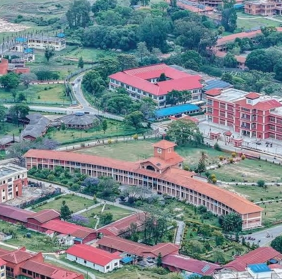 १४ संस्थाले दिएनन् त्रिविको पत्रको जवाफ