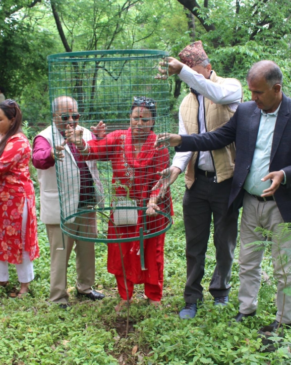 प्रधान सम्पादक श्रेष्ठको जन्म दिनमा पशुपति भण्डारखालमा वृक्षरोपण 
