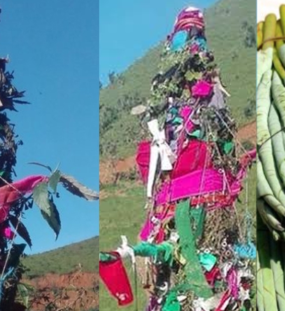 सुदूरपश्चिममा आज ओल्के पर्व मनाइँदै