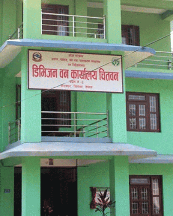 वन कार्यालयले सडक किनारका जोखिमयुक्त रुख हटाउँदै