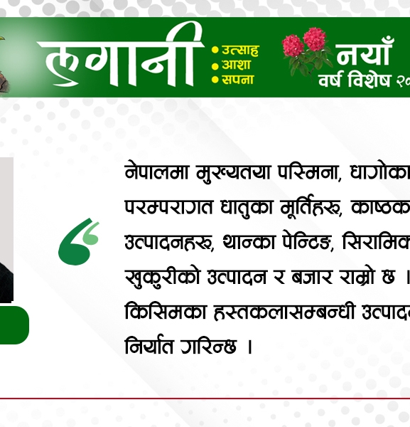 घरेलु हस्तकलाले जगाएको आशा