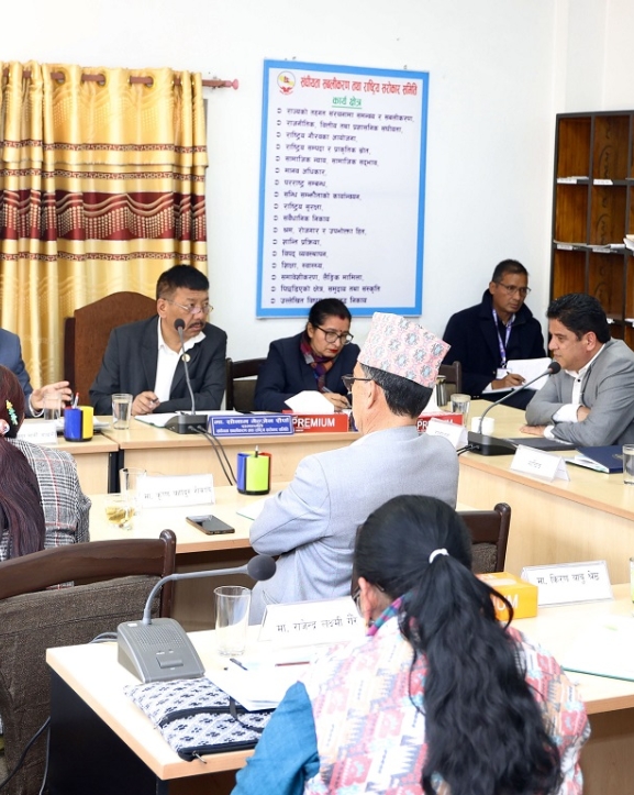 सिमेन्टको मूल्यवृद्धिलाई लिएर उद्योगमन्त्री र सांसदबीच सवाल–जवाफ