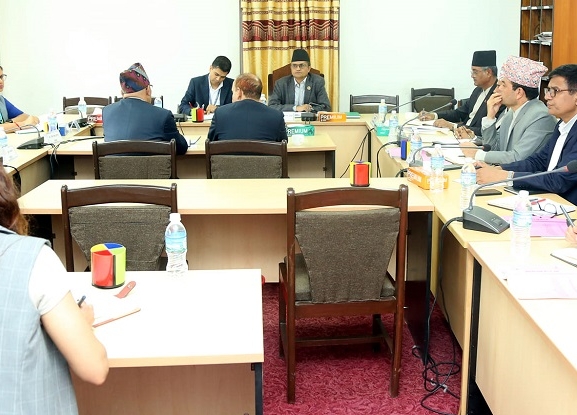संसदीय समितिको निष्कर्ष : सुनियोजित षड्यन्त्रले सहकारीमा समस्या