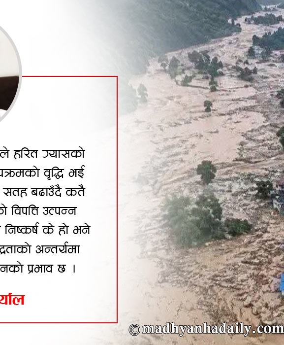 विपत्ति, पुँजीवाद र भोटेकोशी