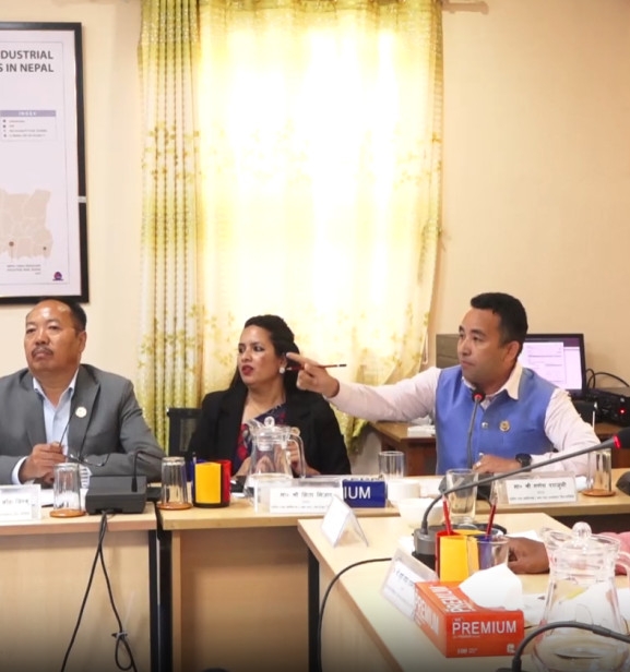 यूएईमा घरेलु कामदार खुलाउने विषयमा संसदीय समितिमा छलफल