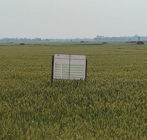 ‘सुपर जोन र जोन कार्यक्रम’ले उत्पादन बढायो