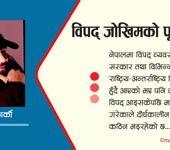 विपद् जोखिमको पूर्वतयारी