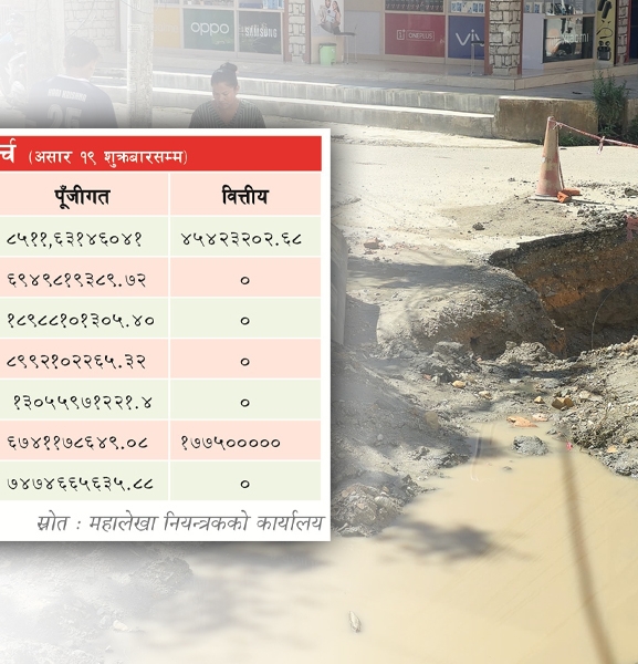 सरकार फेरियो, असारे विकास उस्तै