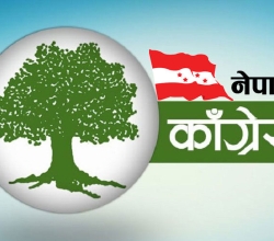 कांग्रेस महाधिवेशन : पश्चिम नवलपरासीका ६ पालिकामा नेतृत्व चयन