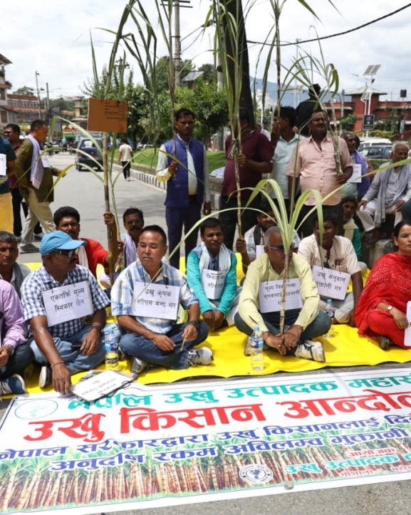 जहिल्यै मारमा उखु किसान : टुटेन माइतीघरको बसाइ, छुटेन नेताहरूको आश्वासन