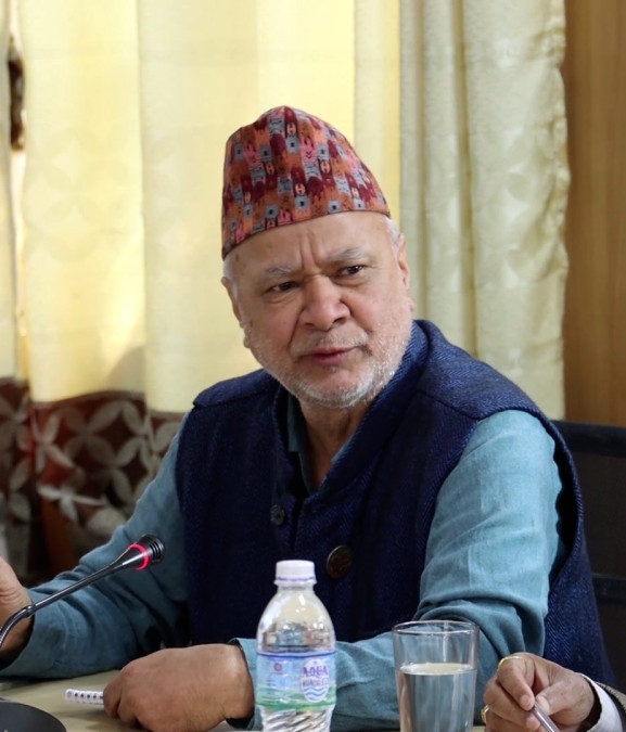 तीनकुने घटना पूर्वराजाको उक्साहटमा भएको ‘सफ्ट कू’ हो : एमाले सांसद पन्त